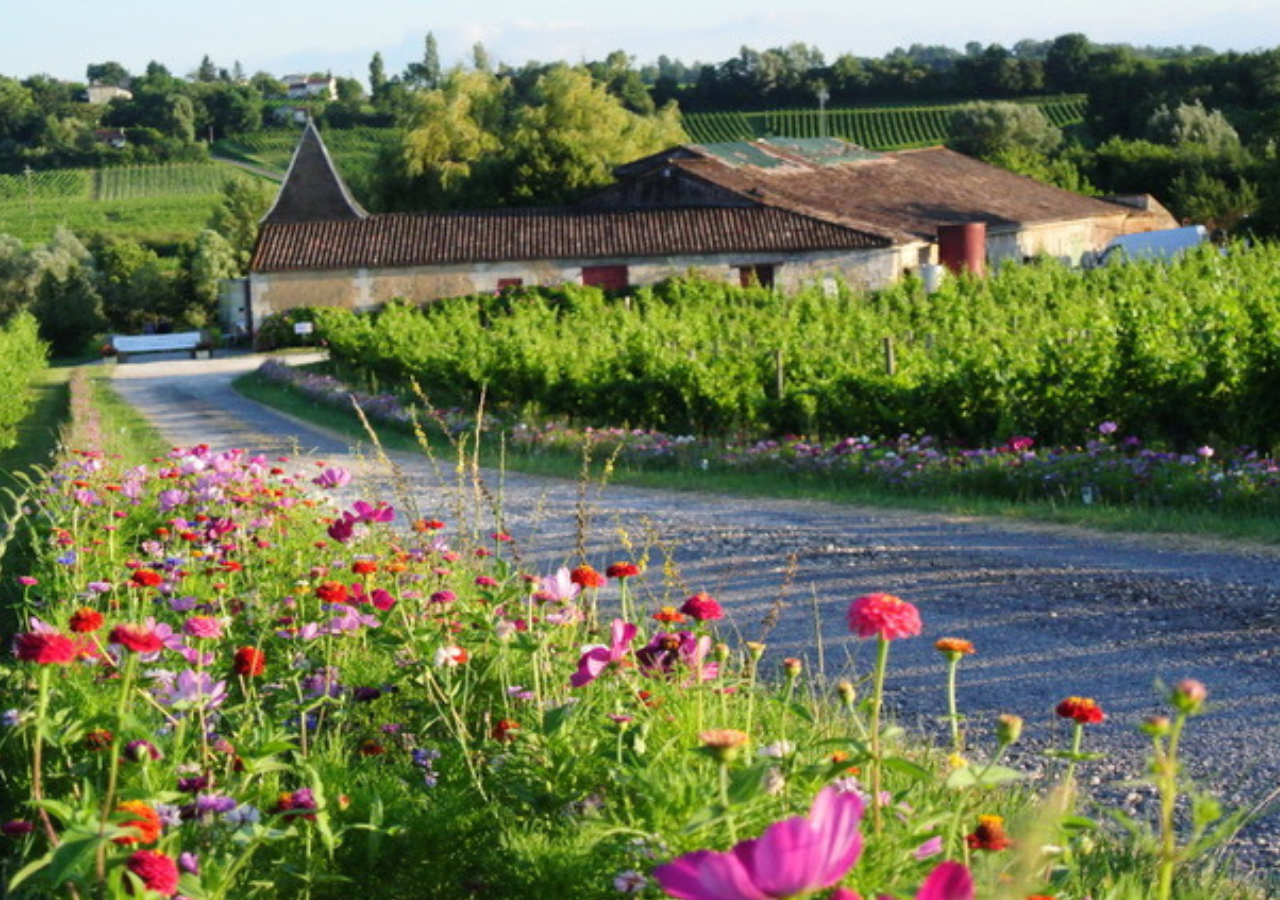 Château La Brande