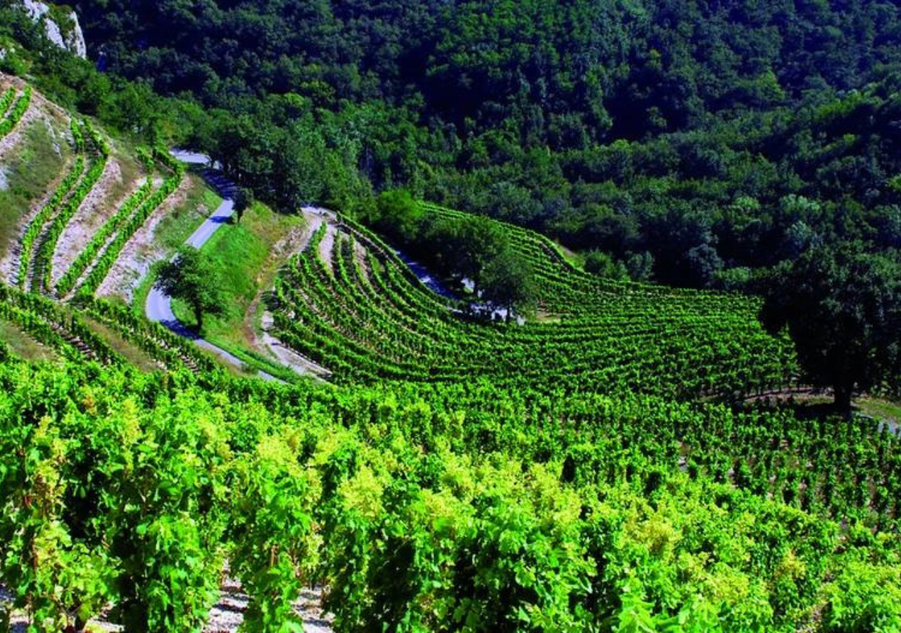 Domaine Clape