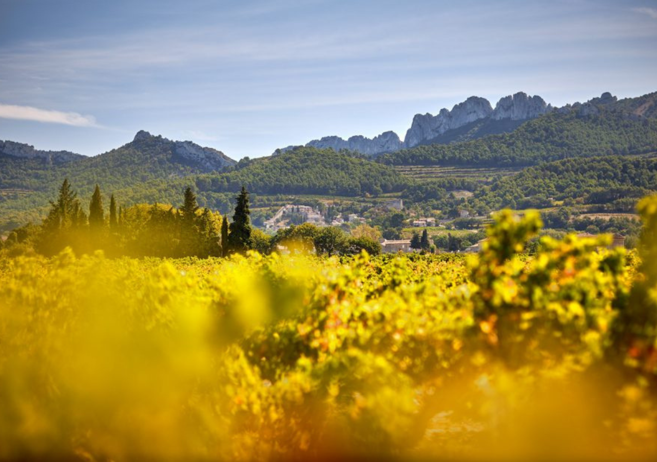 Domaine Santa Duc