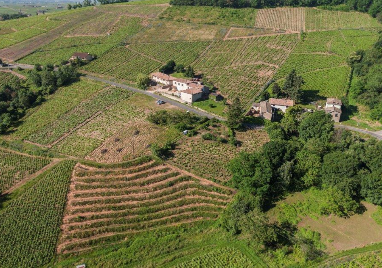 Domaine Thillardon
