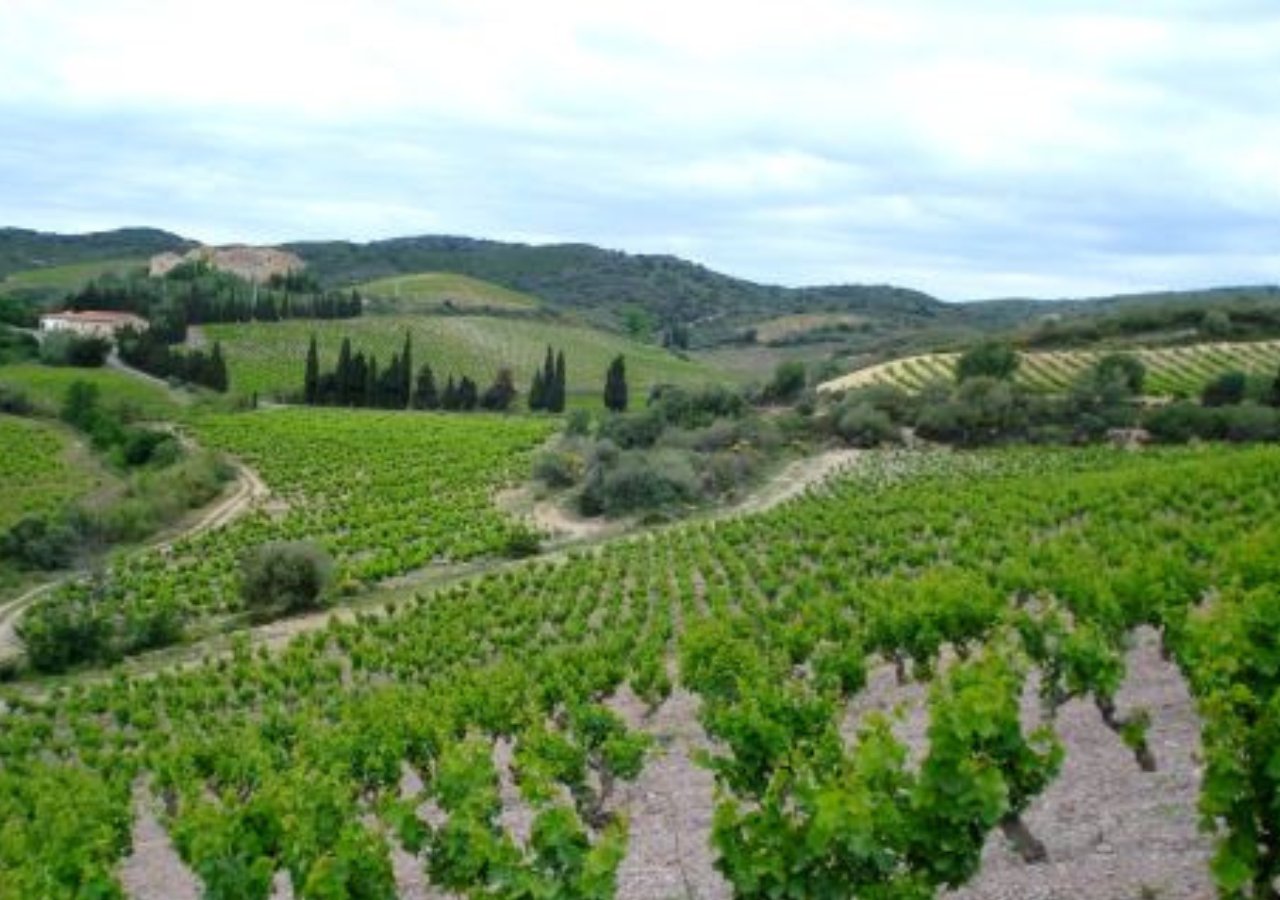 Domaine Matassa