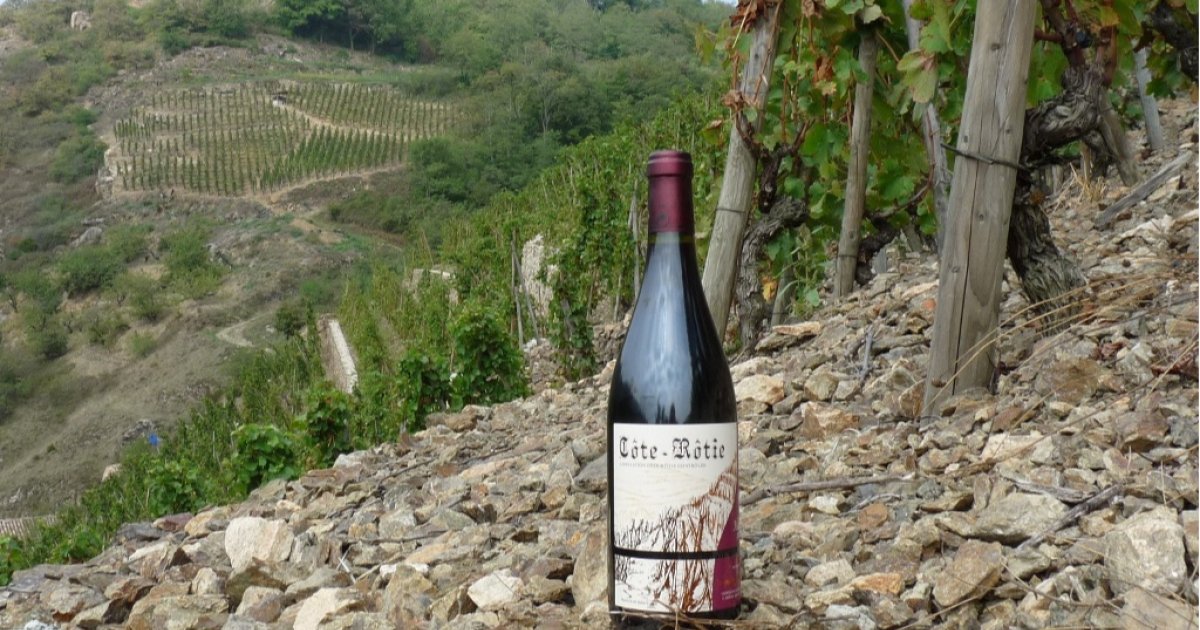 Vignobles Levet