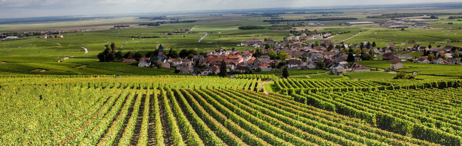 Our Top Picks - France