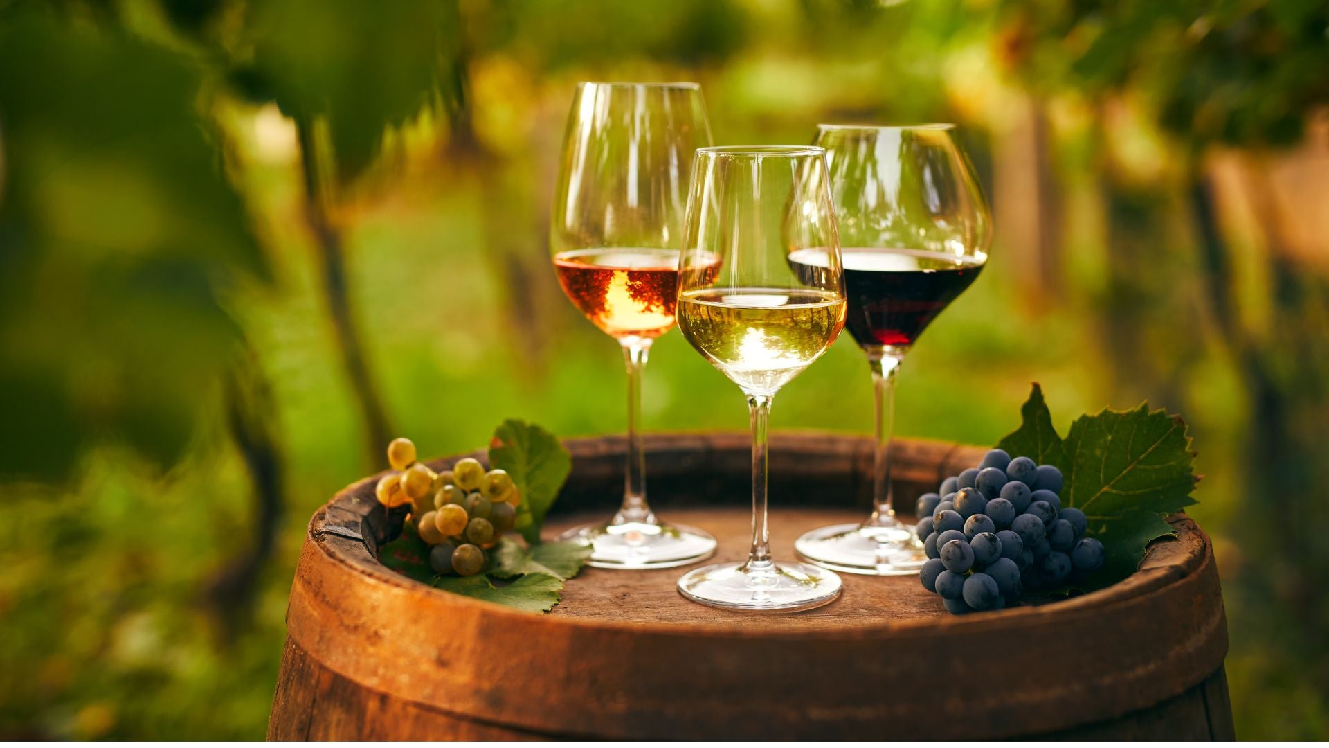 Wine Catalogue