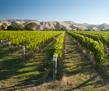 New Zealand