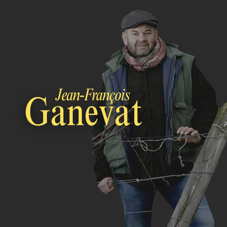 Jean-François Ganevat: Jura Alchemy