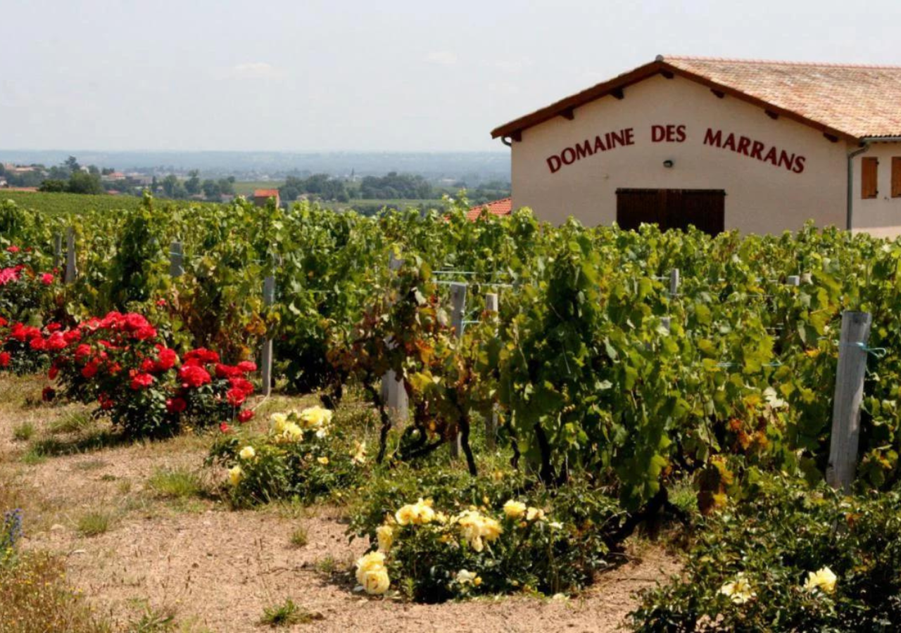 Domaine des Marrans