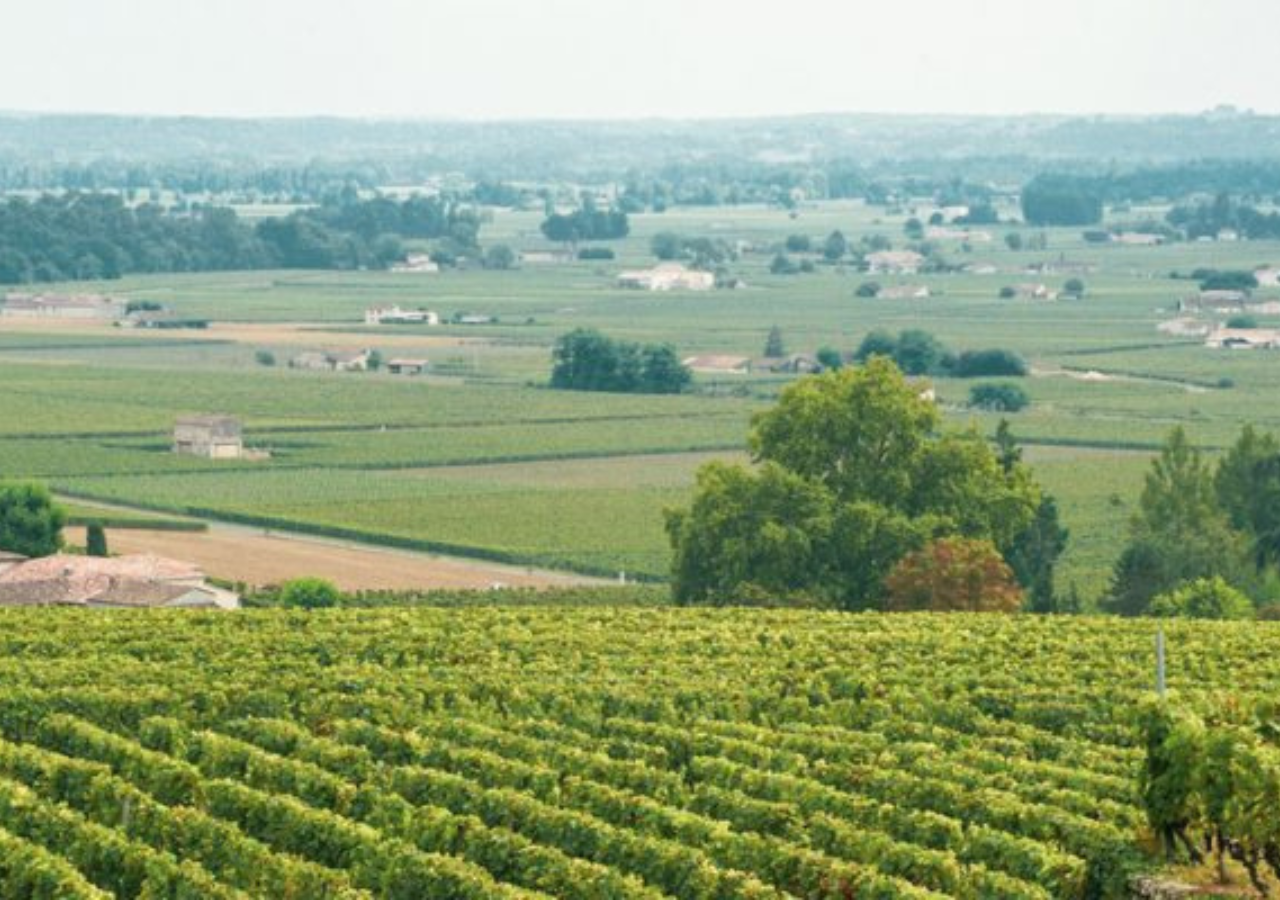 Château Haut-Brisson