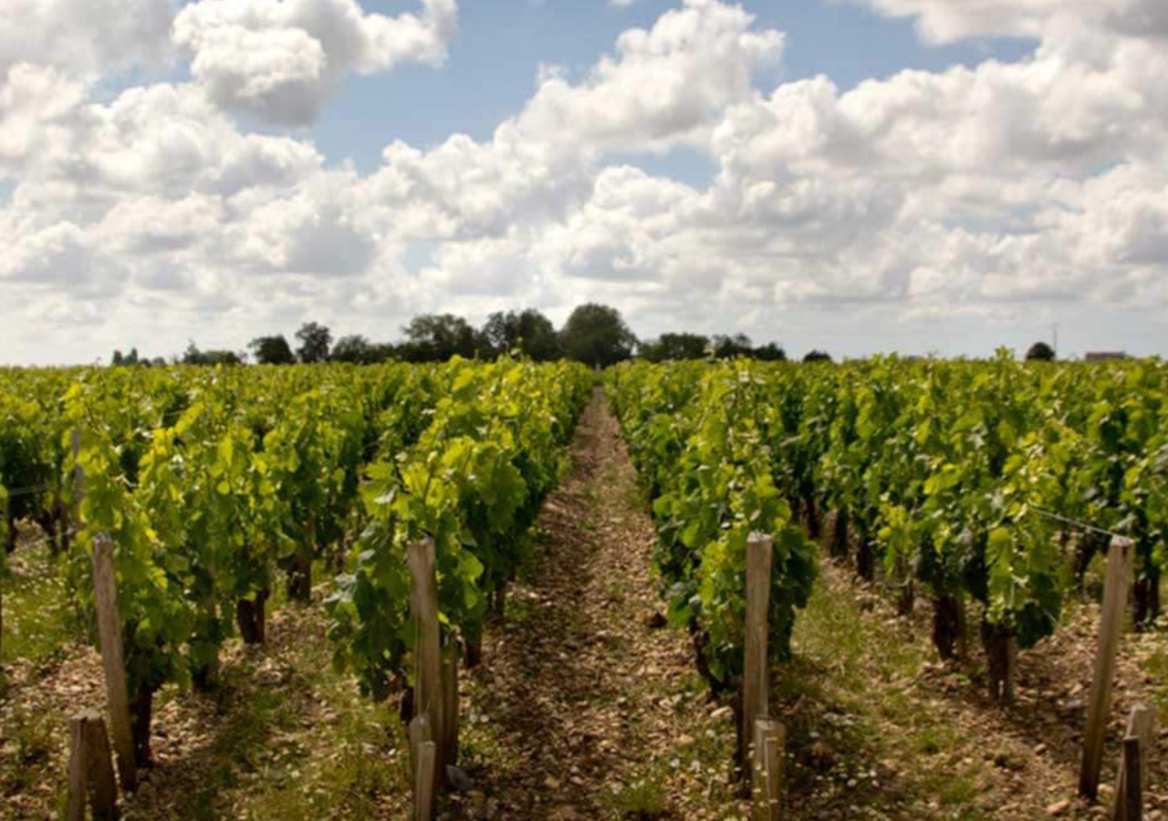 Château Lalande-Borie