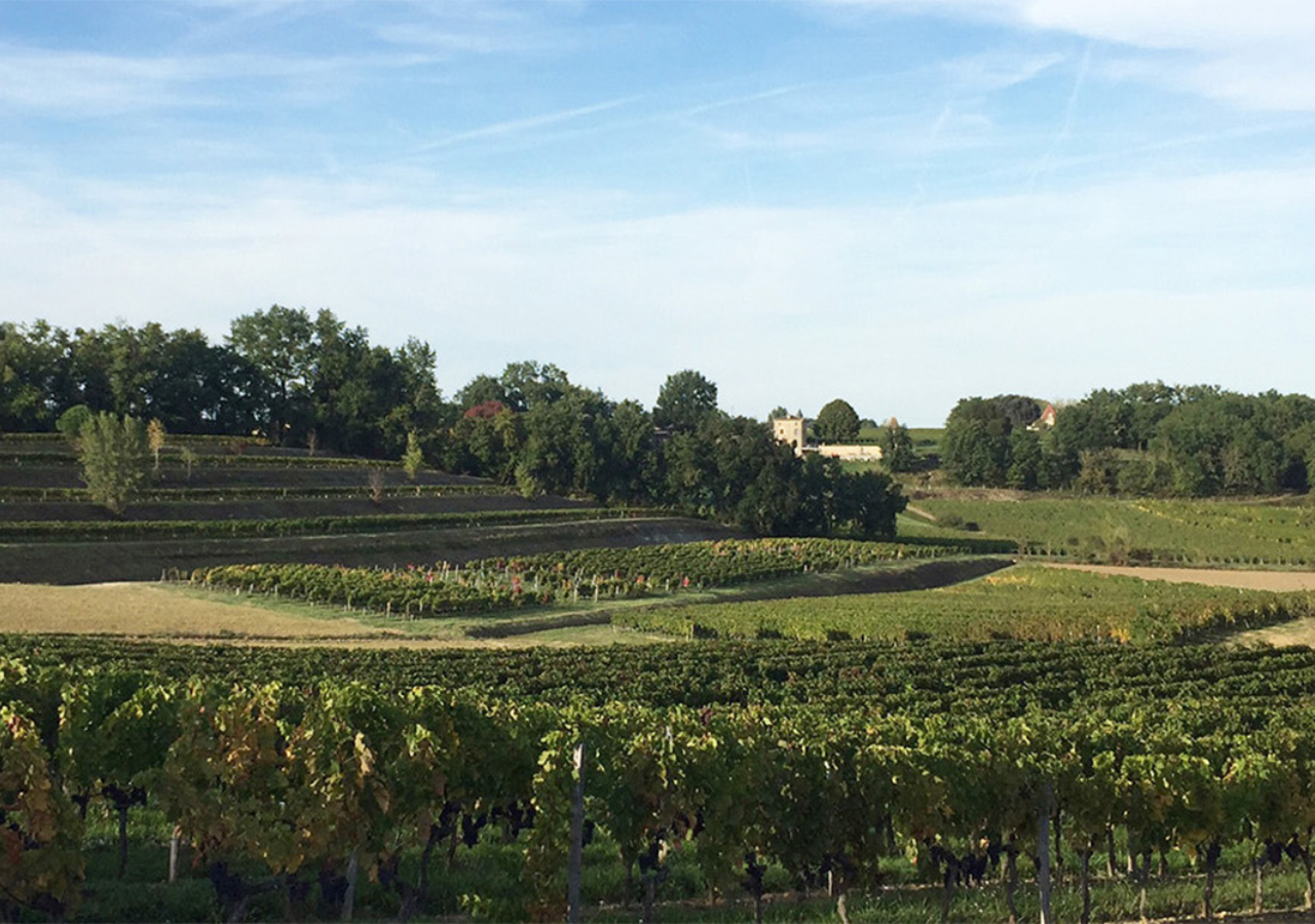 Château Le Rey