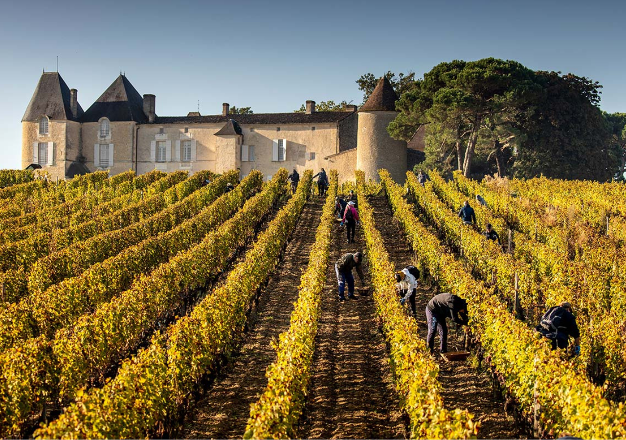 Château d'Yquem