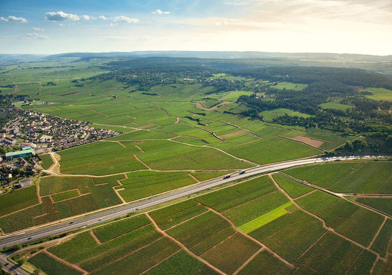 Domaine Albert Morot