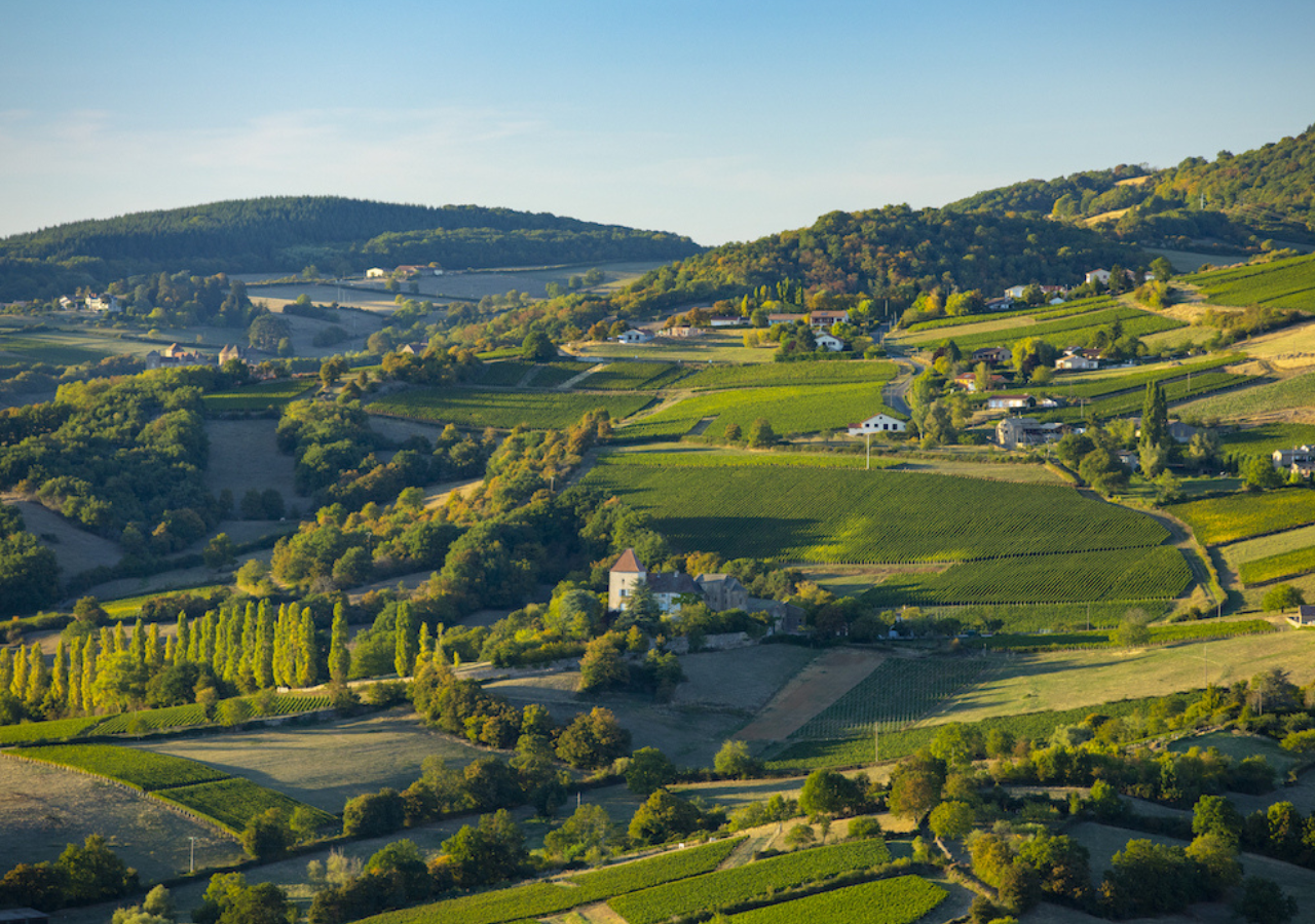 Domaine Arnoux Lachaux