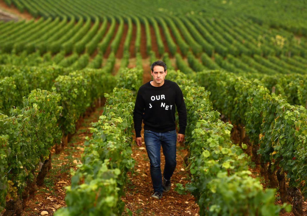 Domaine Chavy-Chouet