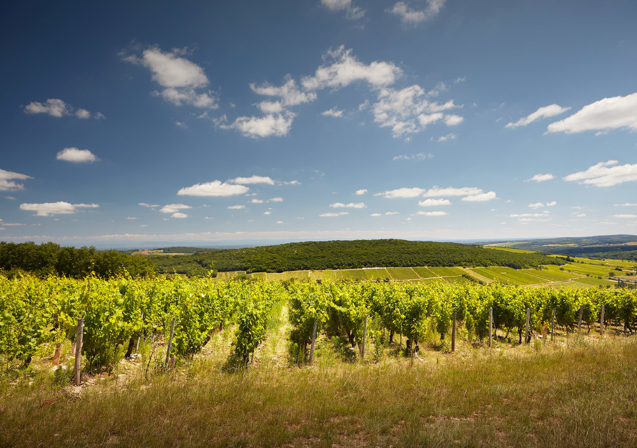 Domaine De La Garenne