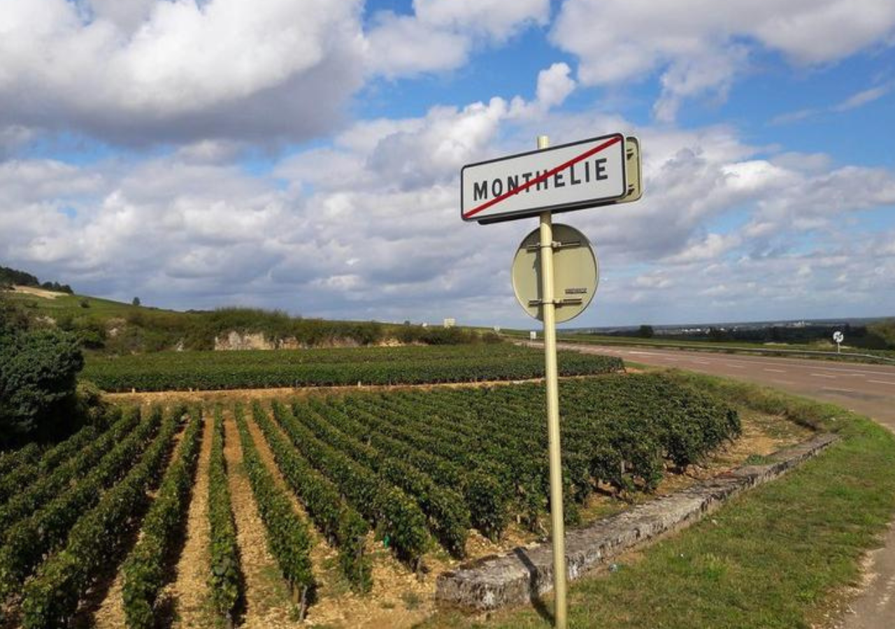 Domaine Eric De Suremain