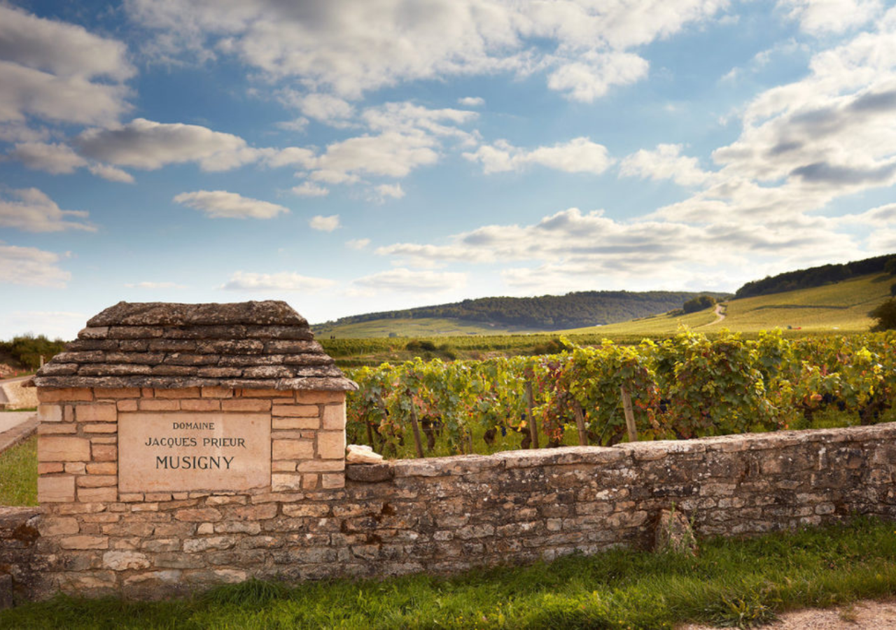 Domaine Jacques Prieur