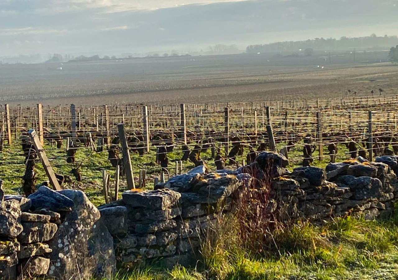 Domaine Jean Chartron