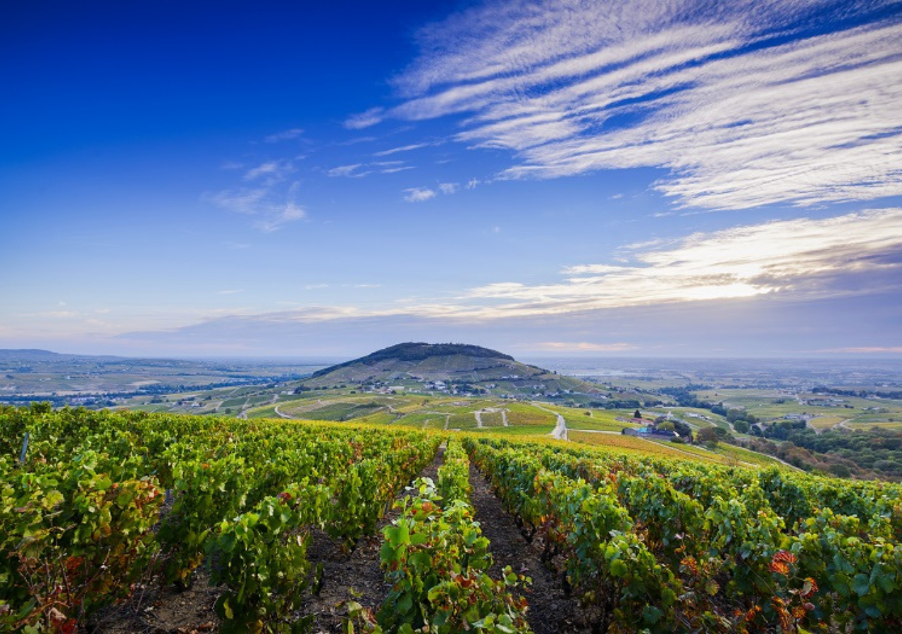 Domaine Jean Foillard