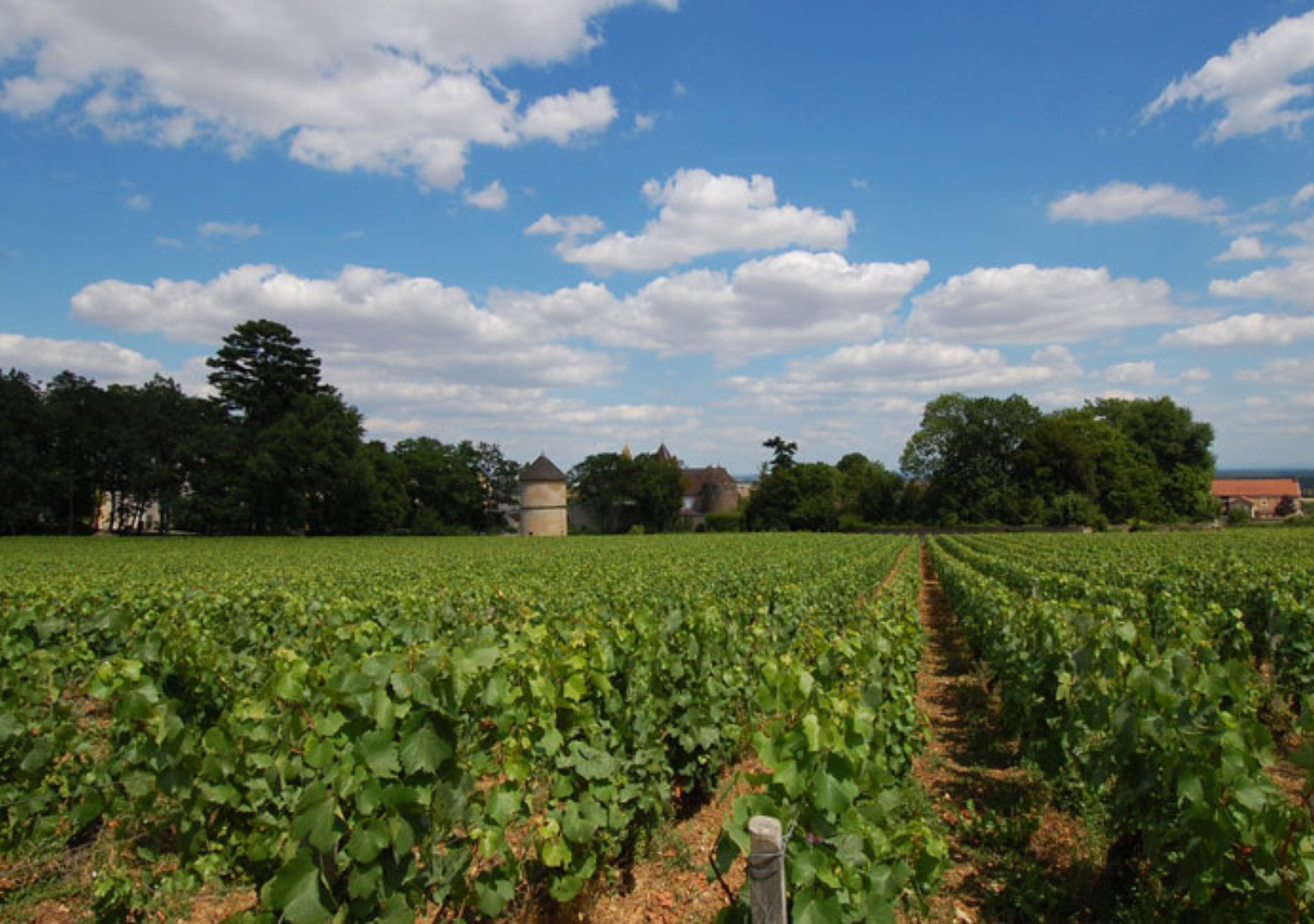 Domaine René Bouvier