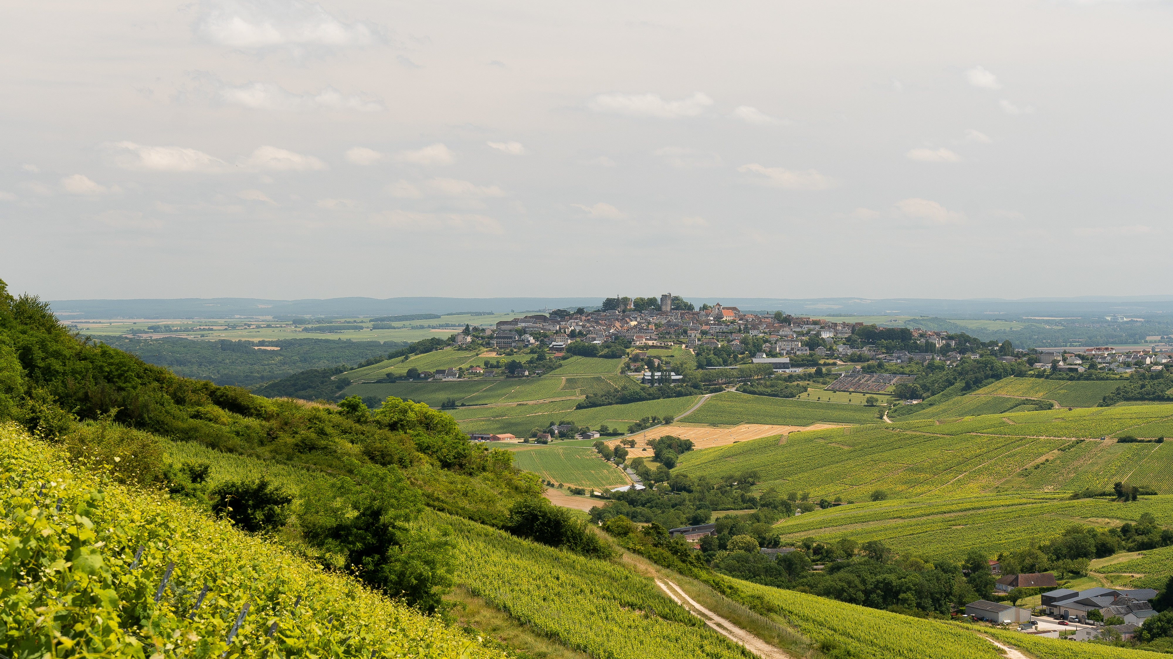 Domaine Vacheron