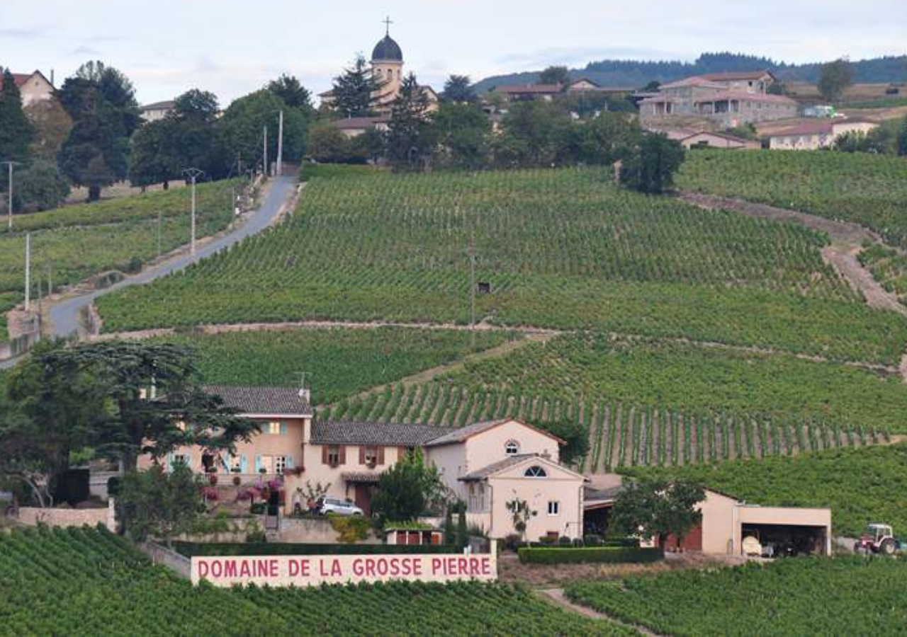 Domaine de la Grosse Pierre