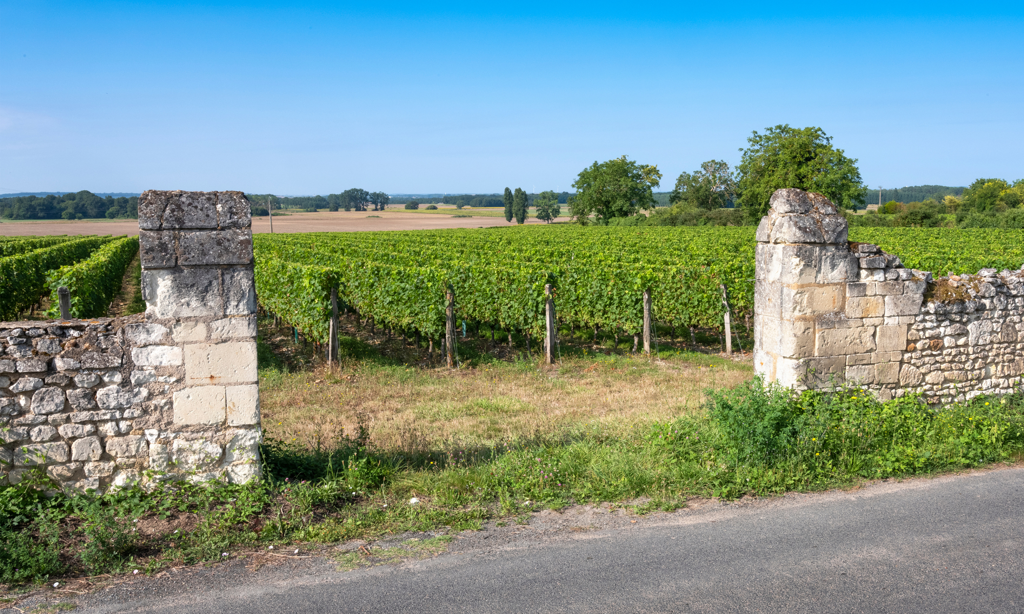 What are others Buying?