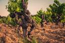 Chateauneuf-du-Pape Habemus Papam-2