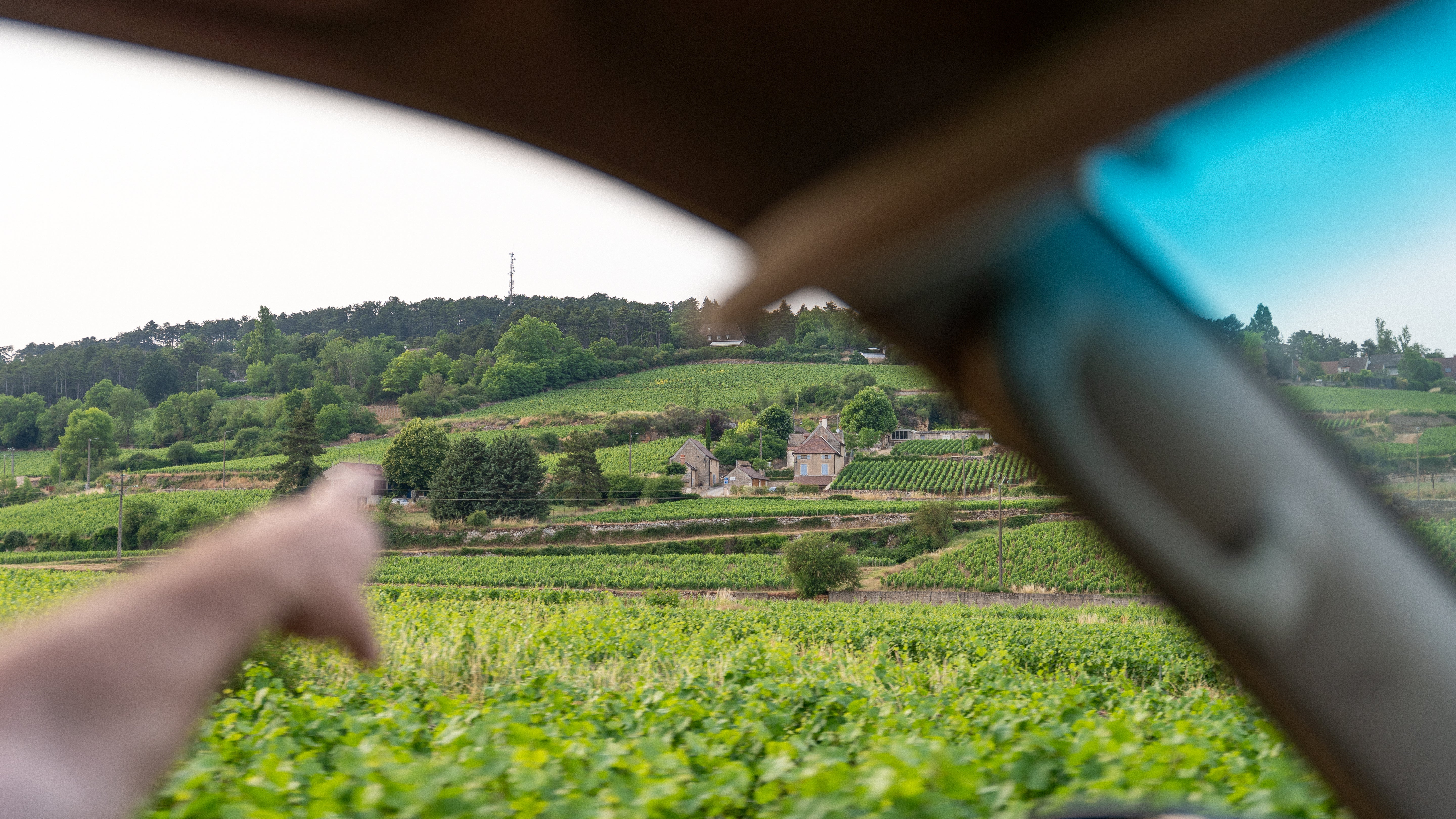 Finding Value in Burgundy