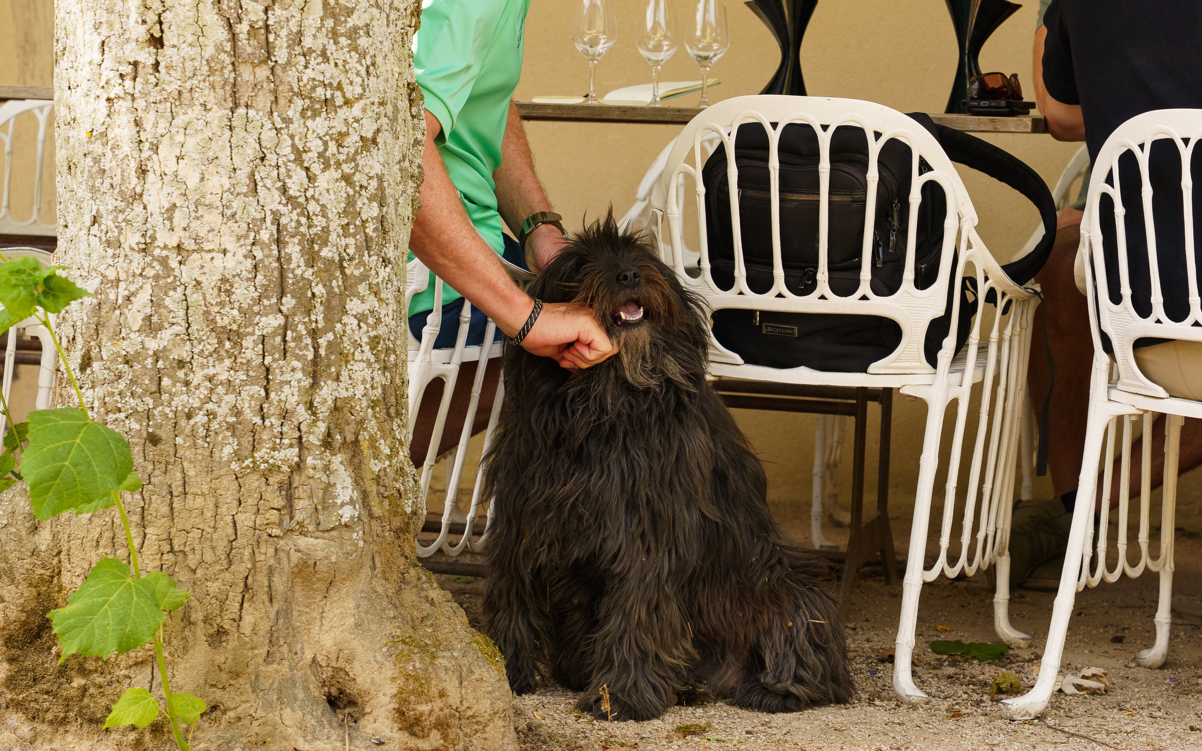 Online orders are closed for 2025