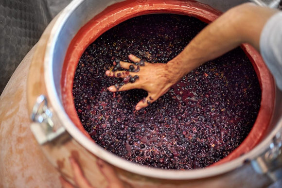 Côtes-Du-Rhône Les Quatre Terres