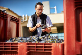 Gigondas Aux Lieux-Dits Magnum - 0