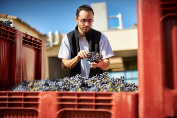 Gigondas Aux Lieux-Dits Magnum - 0